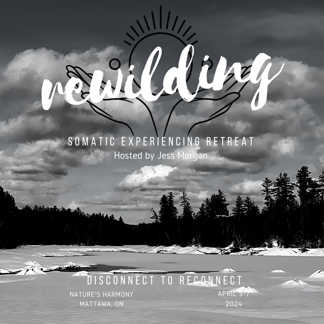 REWILDING SOMATIC EXPERIENCING RETREAT